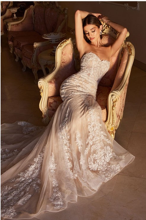 Women's Special Occasion Dress Elegant Wedding WL008