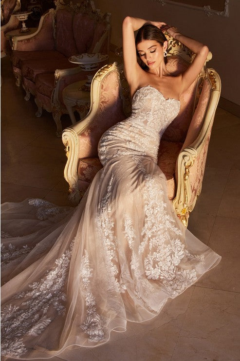 Women's Special Occasion Dress Elegant Wedding WL008