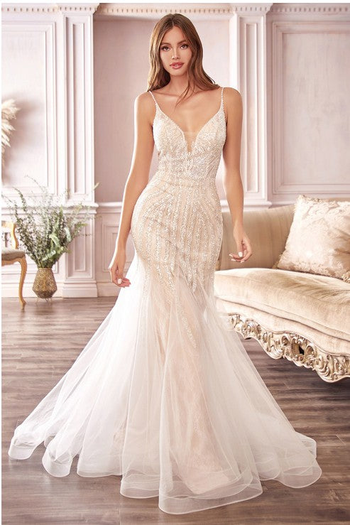 Women's Special Occasion Dress Elegant Wedding CDS401