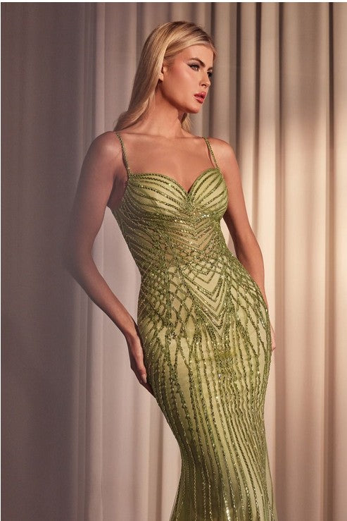 Women's Special Occasion Dress Elegant Wedding CD846