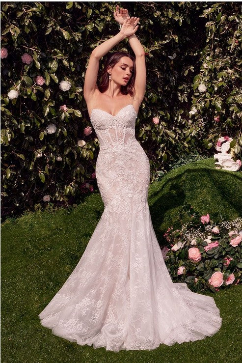 Women's Special Occasion Dress Elegant Wedding WL031