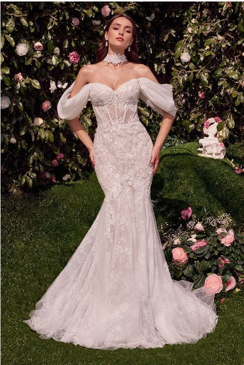 Women's Special Occasion Dress Elegant Wedding WL031