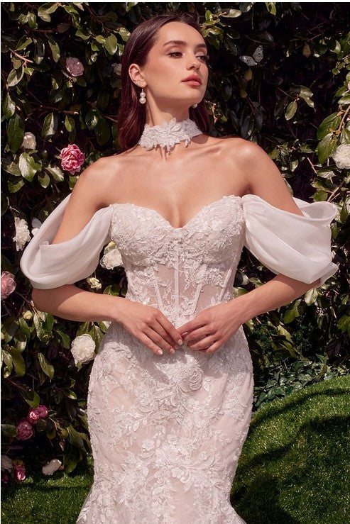 Women's Special Occasion Dress Elegant Wedding WL031