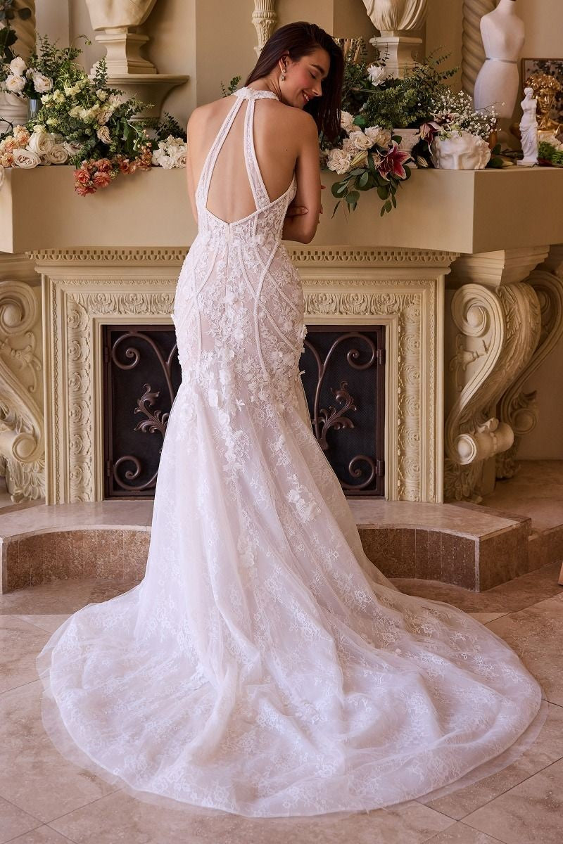 Women's Special Occasion Dress Elegant Wedding WL019