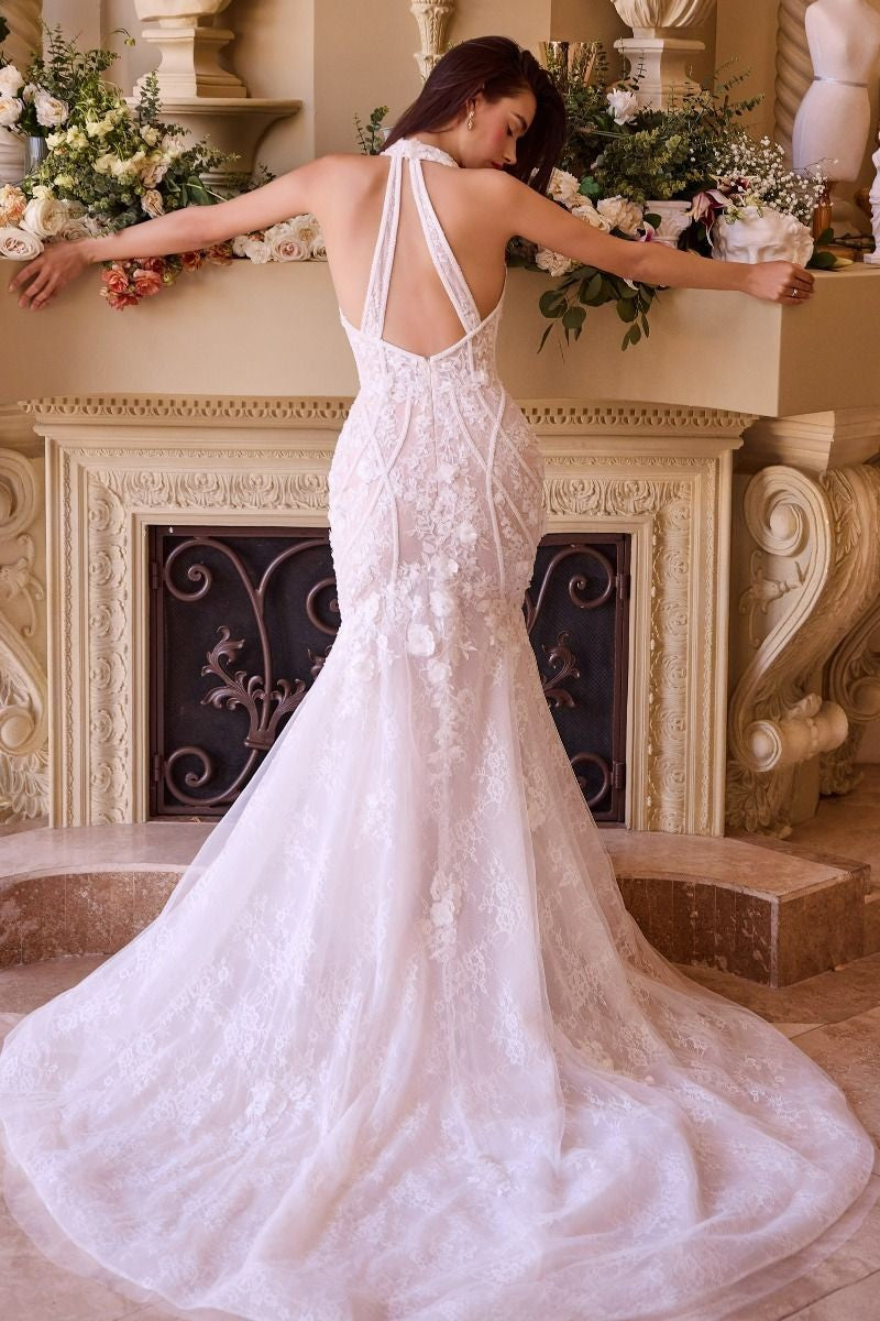 Women's Special Occasion Dress Elegant Wedding WL019