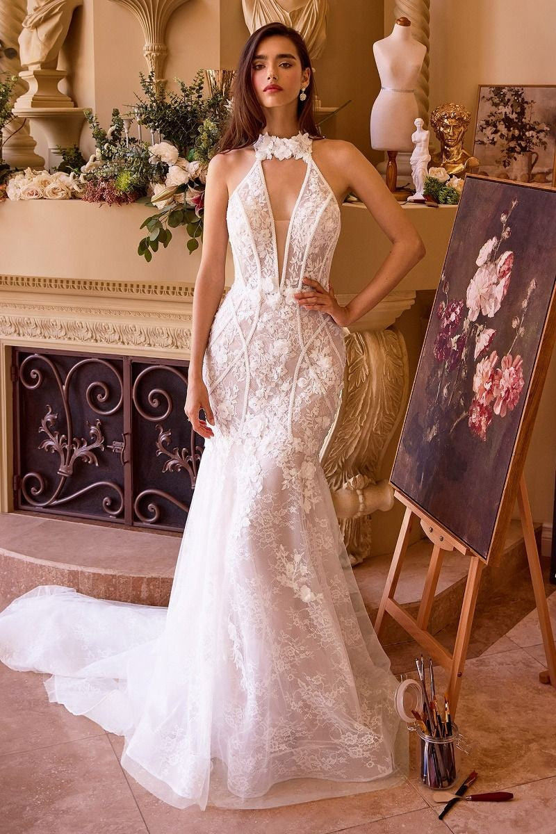 Women's Special Occasion Dress Elegant Wedding WL019