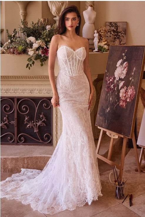 Women's Special Occasion Dress Elegant Wedding WL044