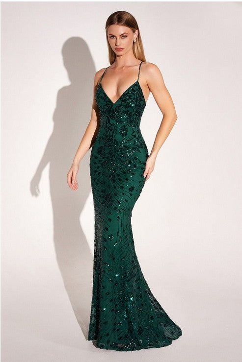 Women's Special Occasion Dress Elegant Wedding T1000P