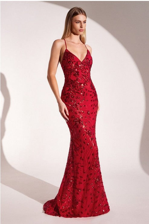 Women's Special Occasion Dress Elegant Wedding T1000P