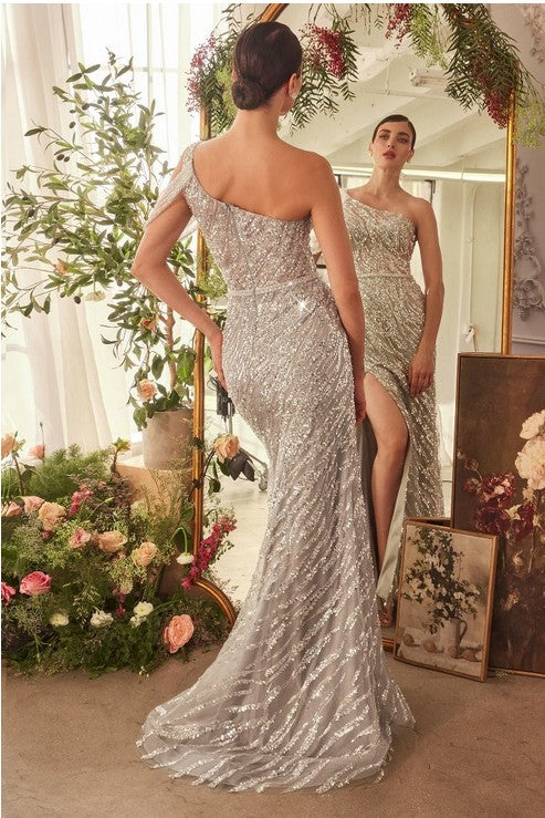 Women's Special Occasion Dress Elegant Wedding A1370