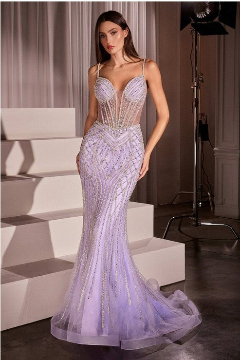 Women's Special Occasion Dress Elegant Wedding CD759