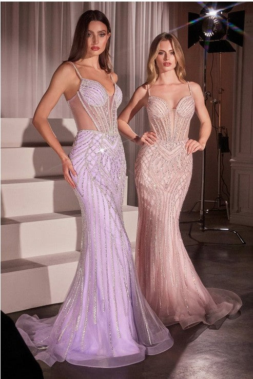 Women's Special Occasion Dress Elegant Wedding CD759