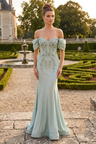 Women's Evening Dress J066