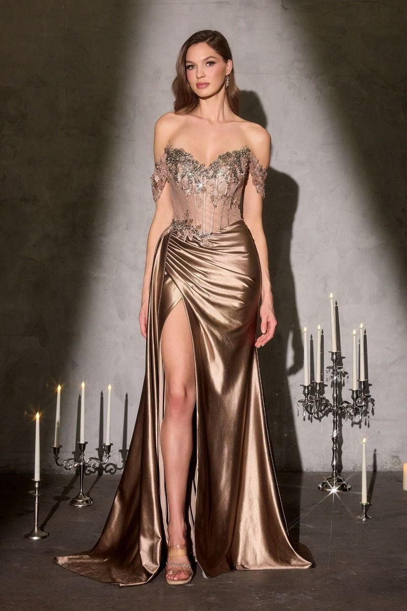 Women's Special Occasion Dress Elegant Wedding CDS554