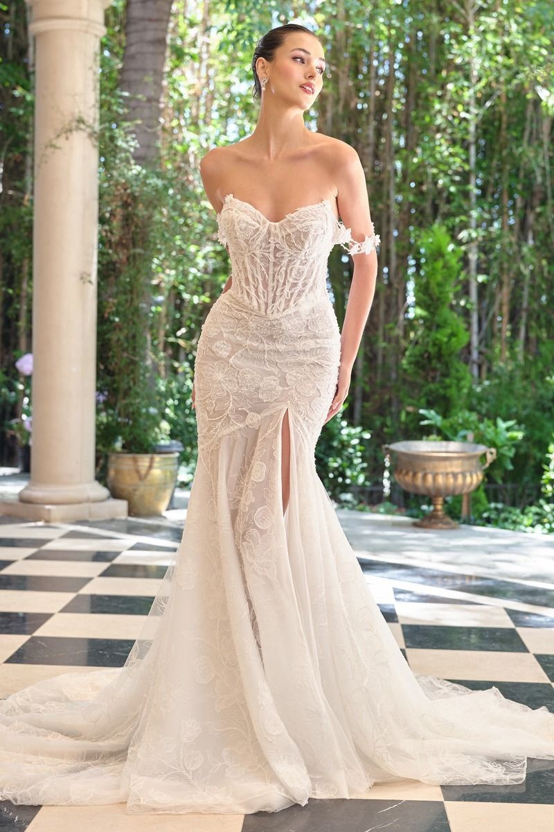 Women's Special Occasion Dress Elegant Wedding WL099