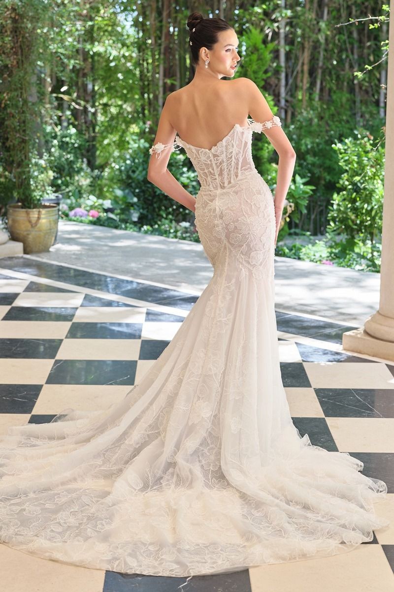 Women's Special Occasion Dress Elegant Wedding WL099