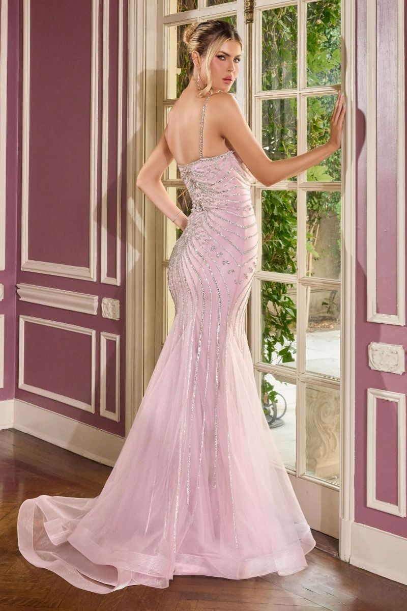 Women's Special Occasion Dress Elegant Wedding CB167
