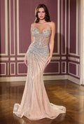 Women's Special Occasion Dress Elegant Wedding CDS660