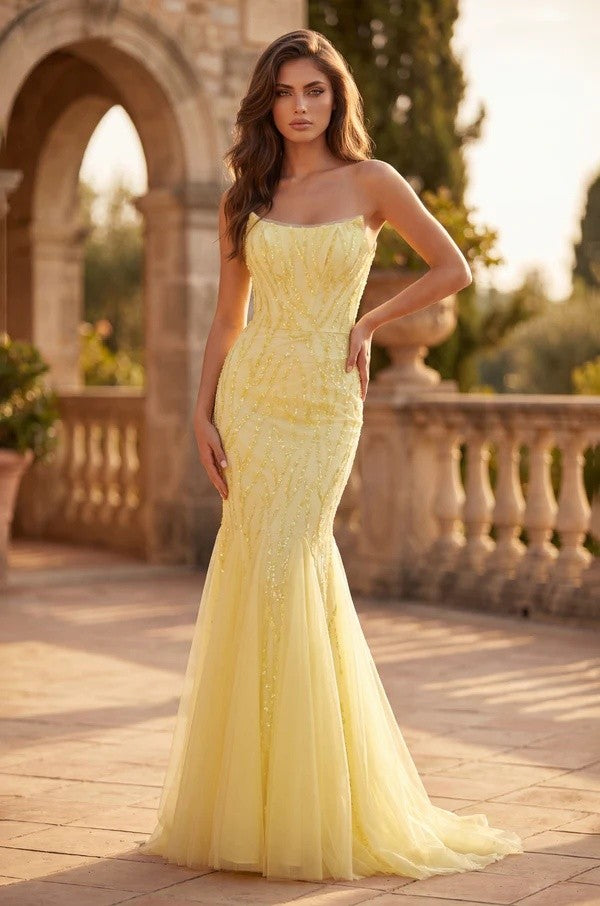 Women's Special Occasion Dress Elegant Wedding 1458