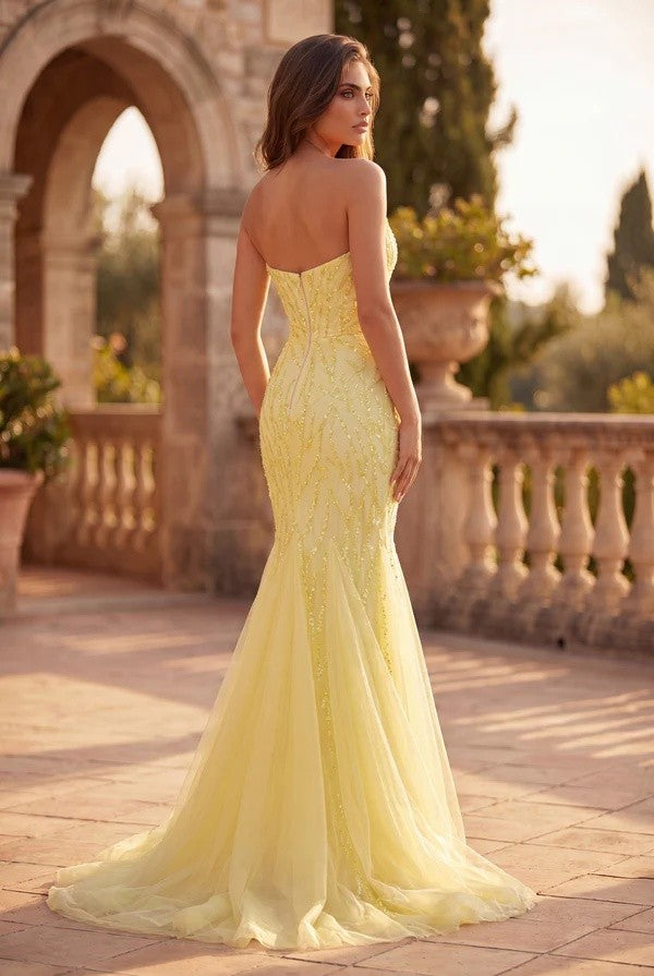 Women's Special Occasion Dress Elegant Wedding 1458