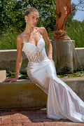 Women's Special Occasion Dress Elegant Wedding T819W