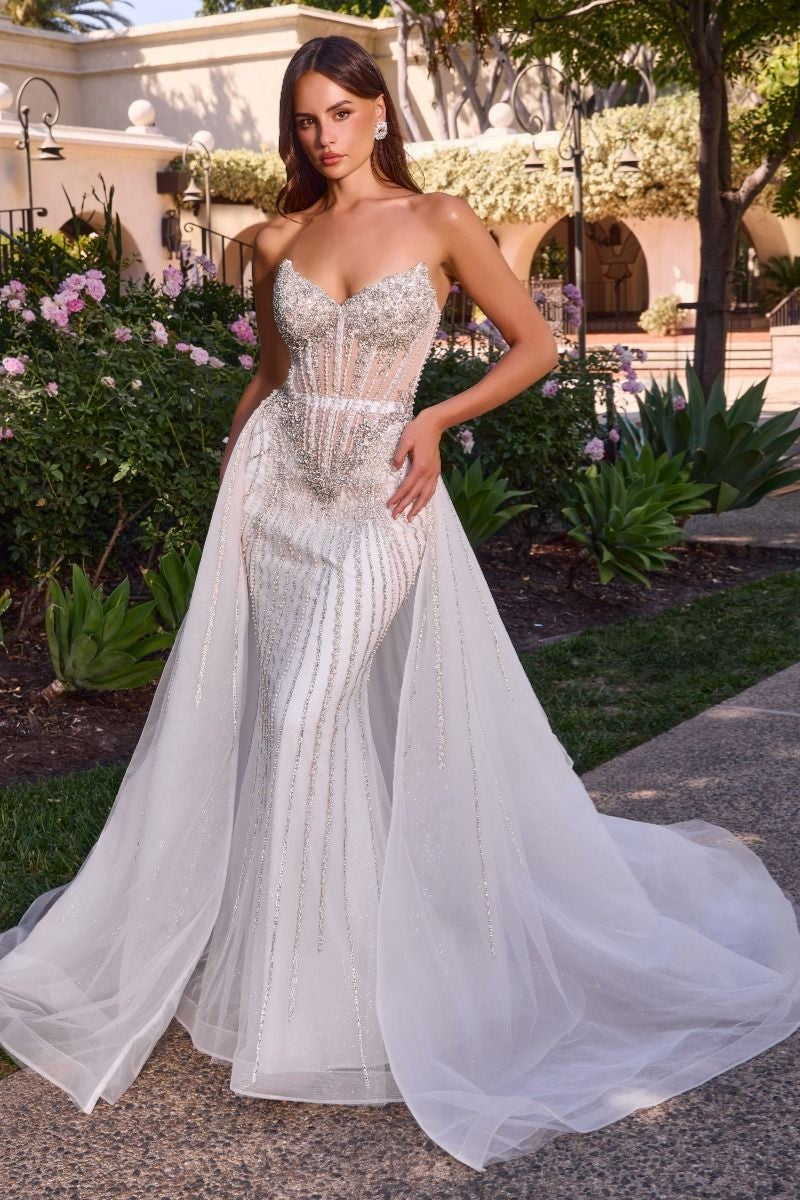 Women's Special Occasion Dress Elegant Wedding CD643W