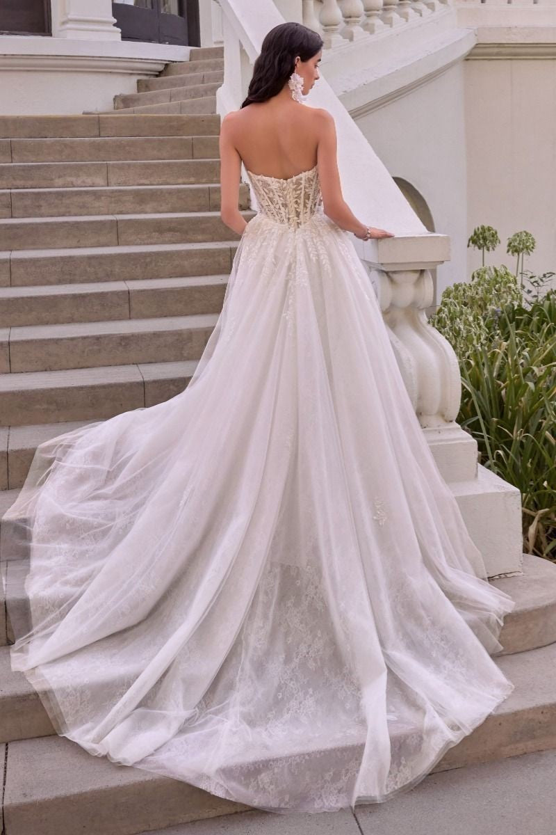 Women's Special Occasion Dress Elegant Wedding WL075