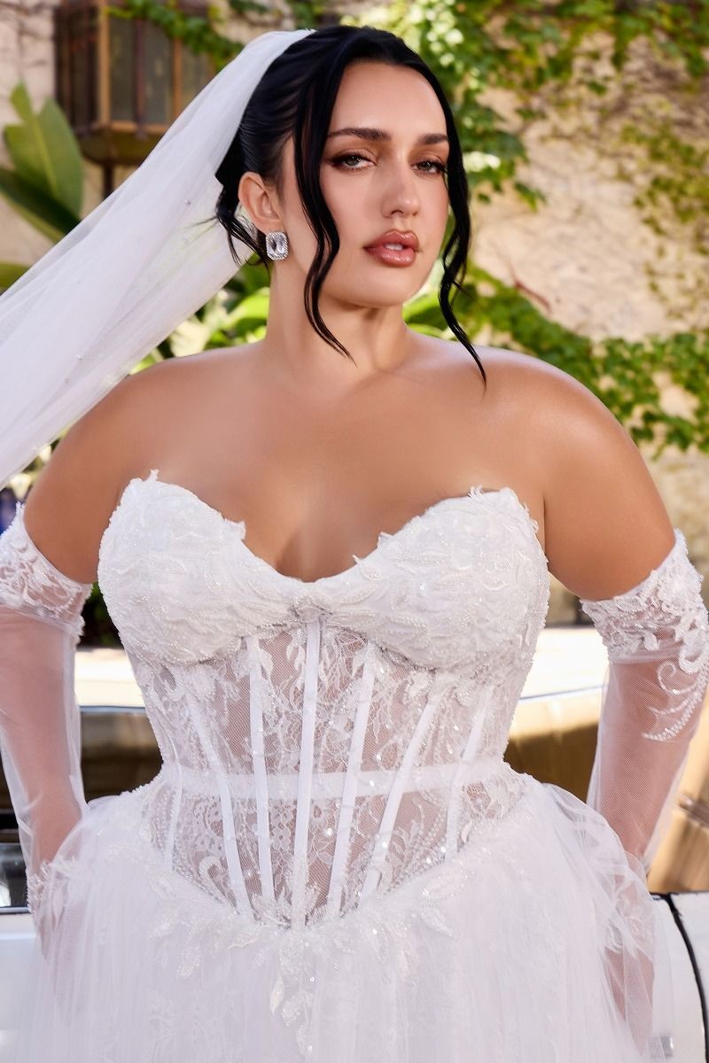 Women's Special Occasion Dress Elegant Wedding CD717W